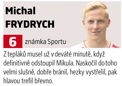 Michal Frydrych