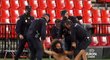 Čtvrtfinále Evropské ligy mezi Granadou a Manchesterem United přerušil nahý vousatý muž, který vběhl na trávník