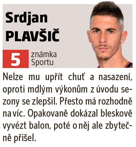 Srdjan Plavšič