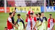 V závěru utkání Slavie s Plzní došlo na strkanici, sudí Franěk udělalil žlutou kartu domácímu kapitánovi Janu Bořilovi