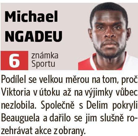 Michael Ngadeu