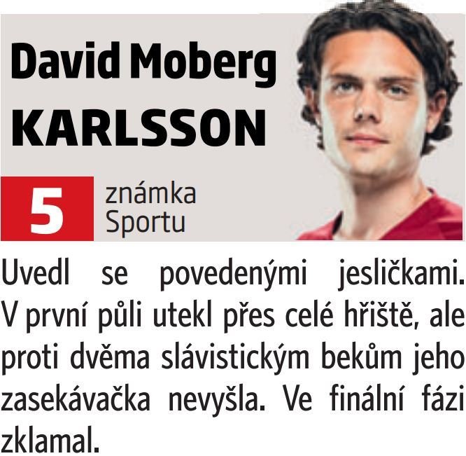 David Moberg Karlsson