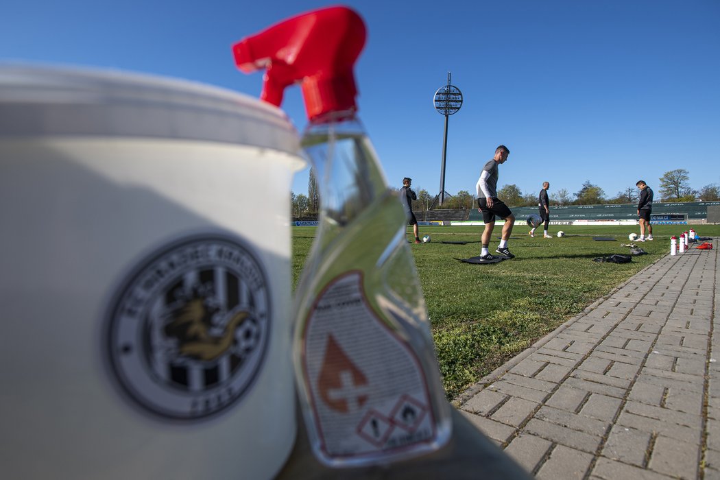 Na hradeckém tréninku byla dodržována přísná hygienická pravidla