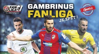 Gambrinus FANLIGA: Pravděpodobné sestavy pro 13. kolo