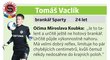 Tomáš Vaclík