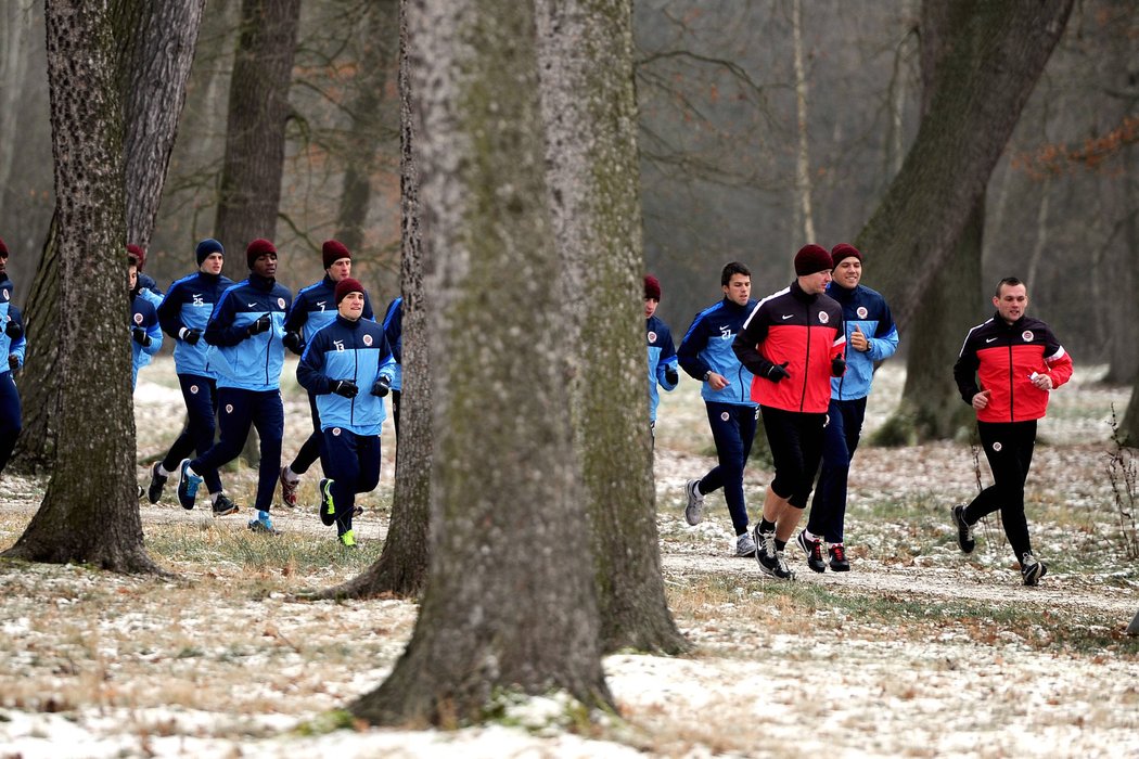 Sparťané na hromadném výběhu v lese