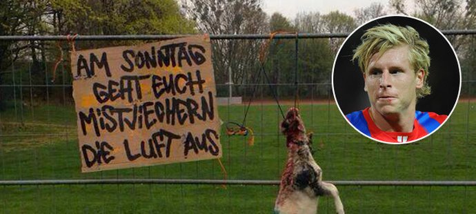 Na plotě tréninkového centra Hannoveru se objevilo mrtvé jehně