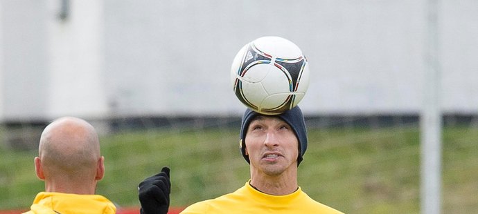 Zlatan Ibrahimovic se před zápasy kvalifikace o postup na MS 2014 opřel do novinářů: Mě nezničítem vzkázal jim.
