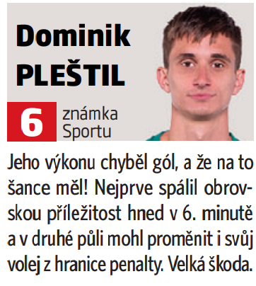 Dominik Pleštil