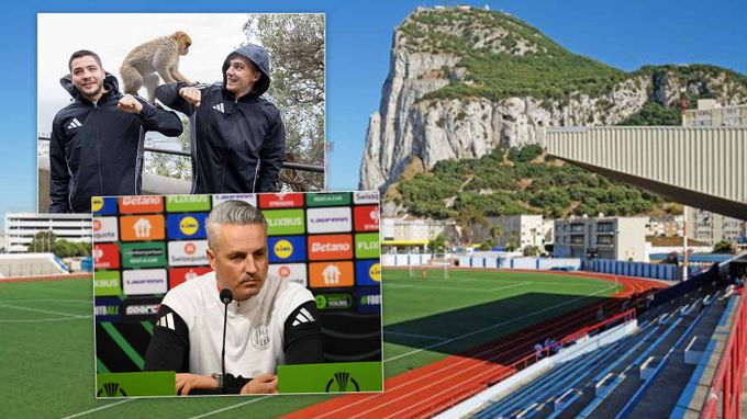 Makakové, fish & chips, umělka jako šmirgl. Janotka: Lincoln a Nové Sady? To je mimo Makakové, fish & chips, umělka jako šmirgl. Janotka: Lincoln a Nové Sady? To je mimo