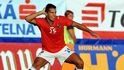 Milan Baroš slaví úvodní gól do sítě San Marina