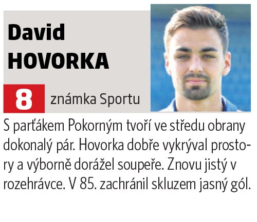 David Hovorka