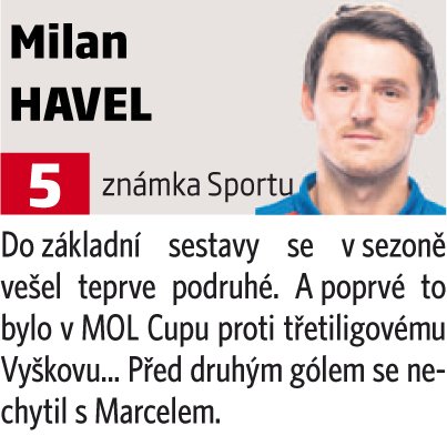 Milan Havel