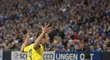 Damjan Bohar z Mariboru slaví svou trefu do sítě Schalke
