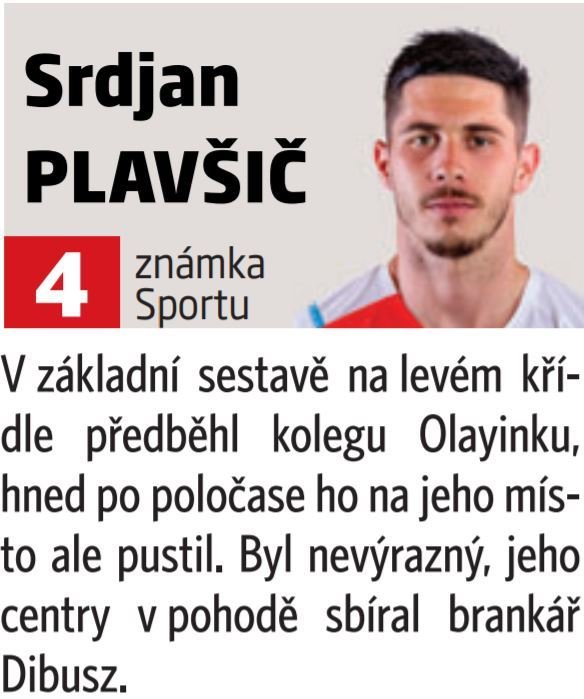 Srdjan Plavšič