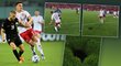 Zhruba 20 centimetrů hluboká díra v trávníku Happalova stadionu ve Vídni narušila zápas mezi Rakouskem a Dánskem
