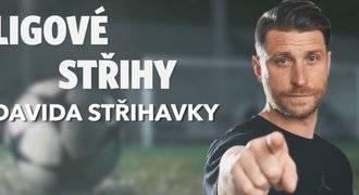 LIGOVÉ STŘIHY: Pokuty v Plzni? Nic neřeší, musely by být závratné