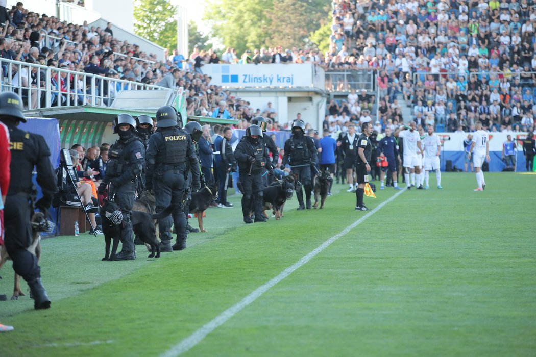 Není to tak dávno, co na závěr finále poháru Slovácko - Sparta dohlíželi psovodi přímo na hradí ploše