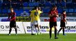 Jihlavští fotbalisté se radují z vyrovnávací trefy v duelu MOL Cupu se Spartou