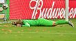 Nizozemský brankář Jasper Cillissen nedokázal vychytat penaltu Španělska