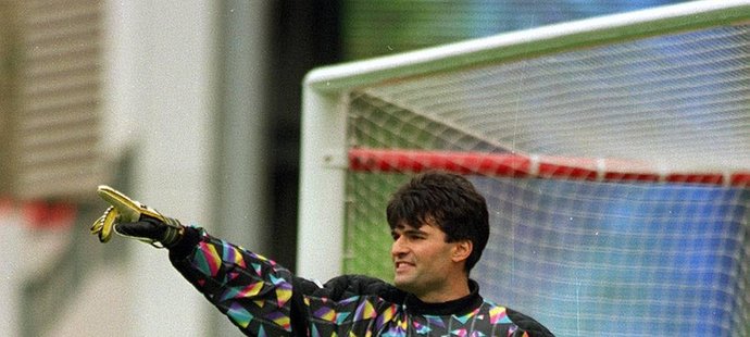 Pavel Srníček v dresu Newcastlu