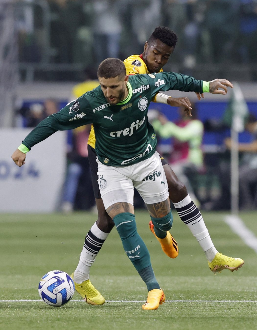 Fotbalisté Palmeiras tragicky přišli o svou věrnou fanynku