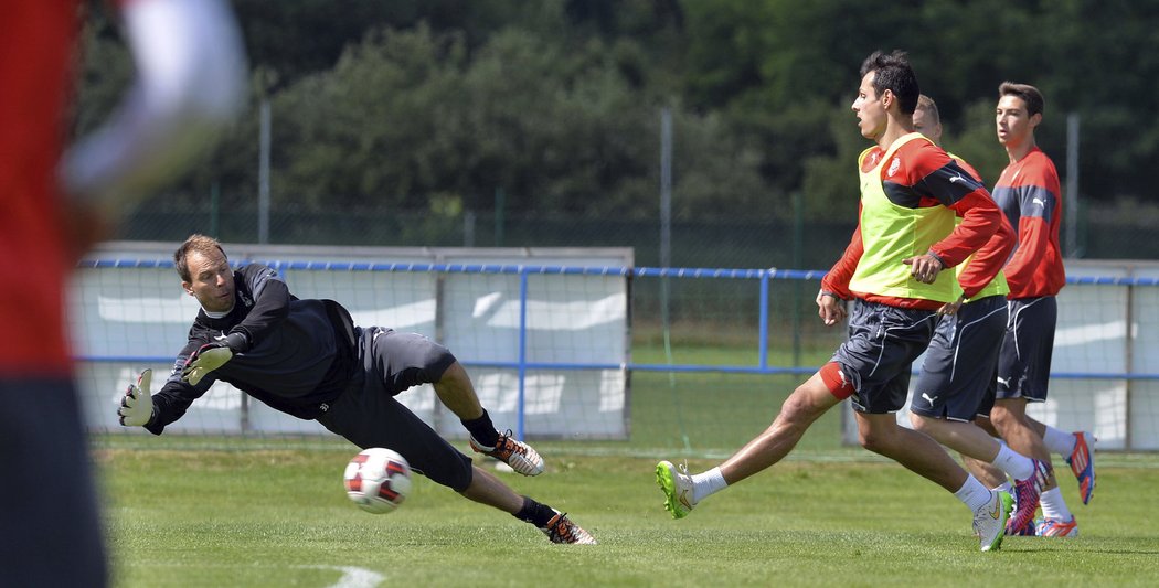 Fotbalisté Plzně zahájili přípravu na novou sezonu.