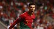 Cristiano Ronaldo v dresu portugalské reprezentace