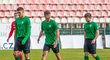 Konec stávky, Příbram zpátky v práci. Starka nabídnul stadion do zástavy