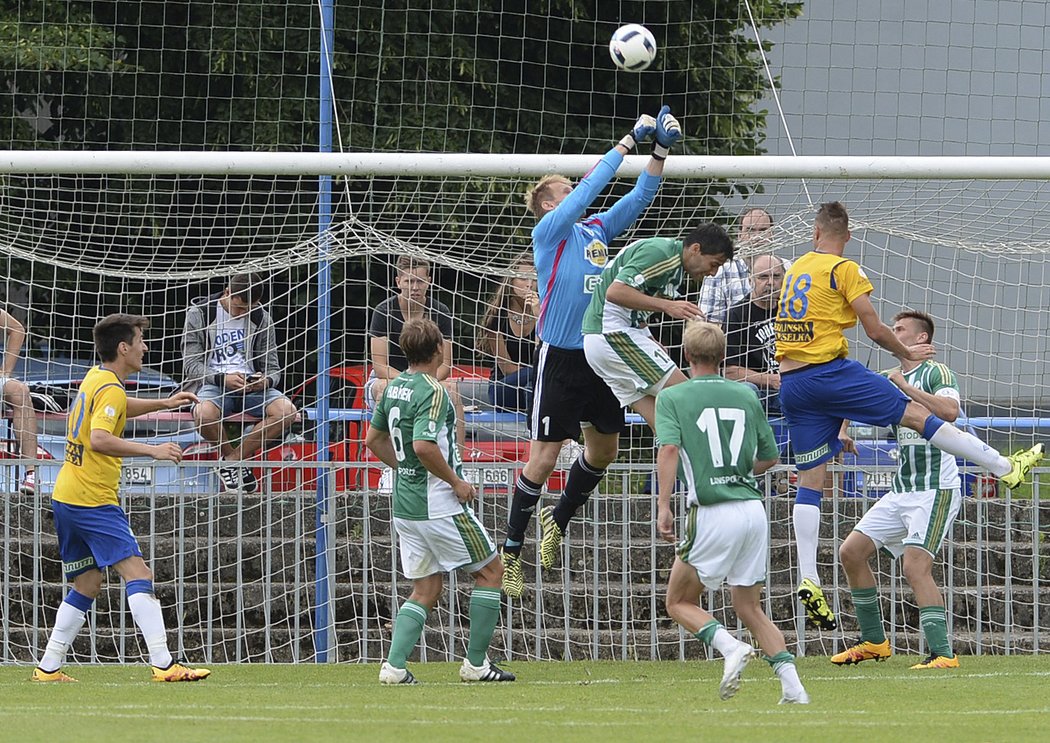 Gólman Bohemians Zdeněk Zlámal v akci během utkání s Teplicemi.