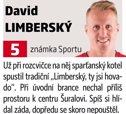 David Limberský