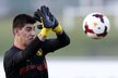 Thibaut Courtois (brankář, 21 let, Atlético Madrid). Patří Chelsea, kde s ním počítají jako s  budoucím nástupcem Petra Čecha. Momentálně je jedním z nejlépe hodnocených brankářů španělské   ligy, zájem o něj má i Barcelona.