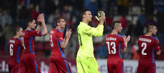 Přestože čeští fotbalisté na mistrovství světa nepostoupili, získá národní federace 750.000 dolarů (asi 15,2 milionu korun) ze zisku šampionátu