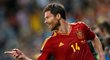 Xabi Alonso slaví první gól Španělů ve čtvrtfinále proti Francii