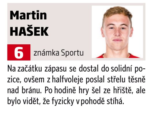 Martin Hašek