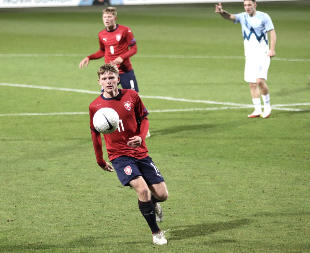 Pavel Šulc v zápase se Slovinskem