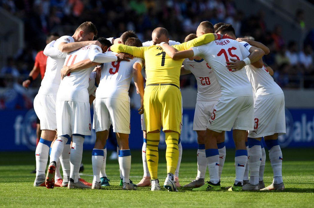 Čeští reprezentanti před zápasem s Slovenskem