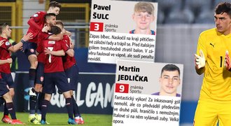 ZNÁMKOVÁNÍ Lvíčat: Skvělý Jedlička, nervózní Vitík a Šulcův zápas blbec