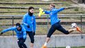 Čeští fotbalisté na tréninku před Dánskem