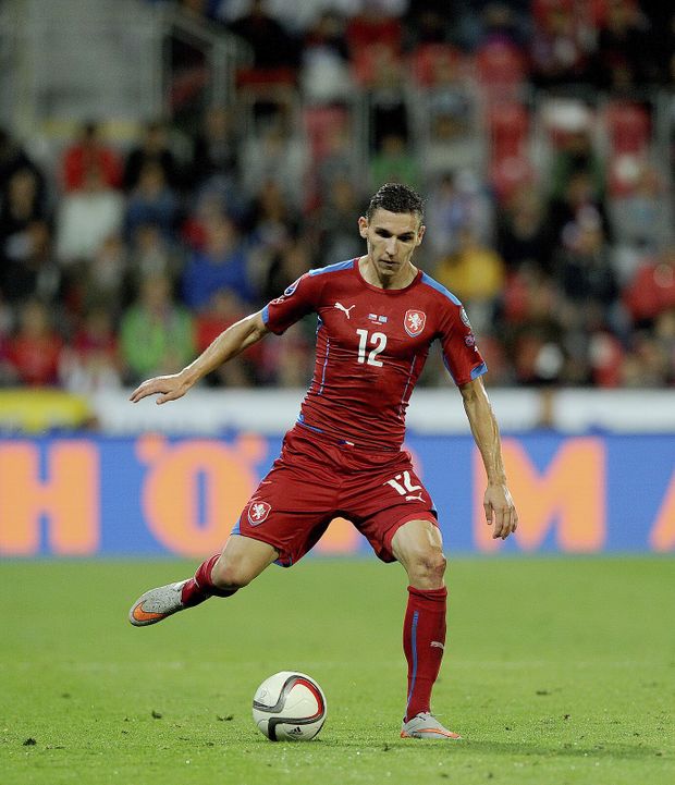 David Pavelka patří k budoucím oporám české reprezentace. David Pavelka patří k budoucím oporám české reprezentace.