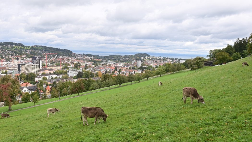 Město St. Gallen, kde reprezentace hraje se Švýcarskem