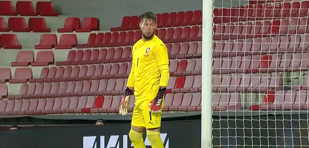 Tomáš Vaclík pobavil svou grimasou po parádním albánském gólu