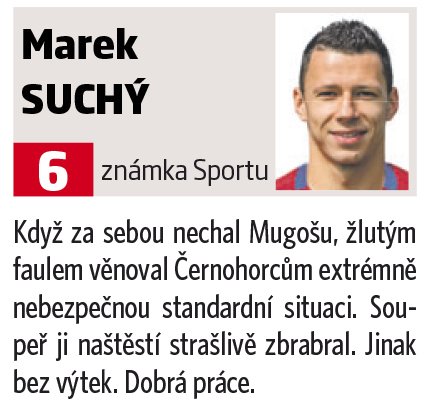 Marek Suchý