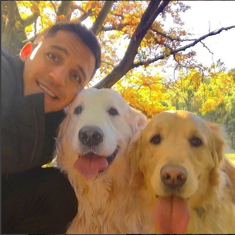 Hvězda Arsenalu Alexis Sánchez je velkým milovníkem psů.