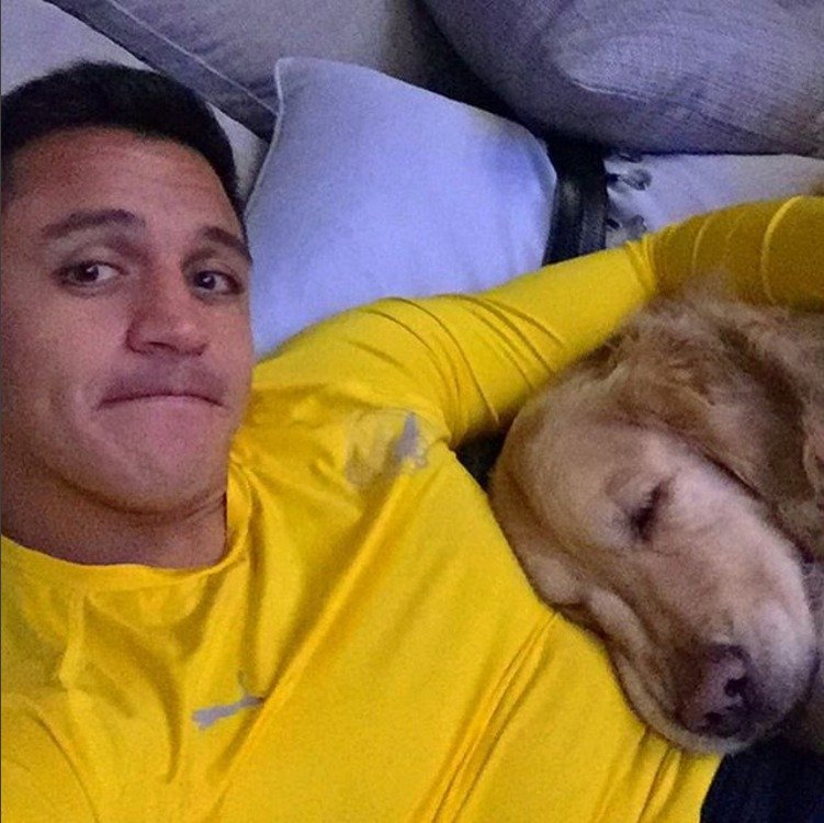 Hvězda Arsenalu Alexis Sánchez je velkým milovníkem psů.