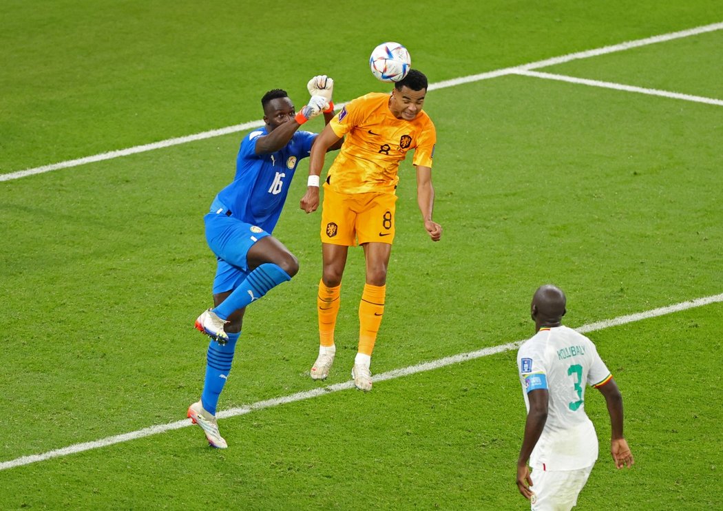 Cody Gakpo dává gól Nizozemska proti Senegalu