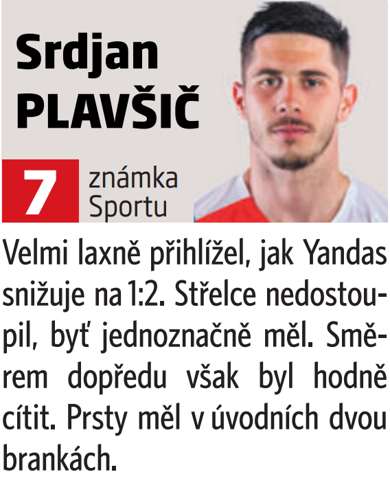 Srdjan Plavšič