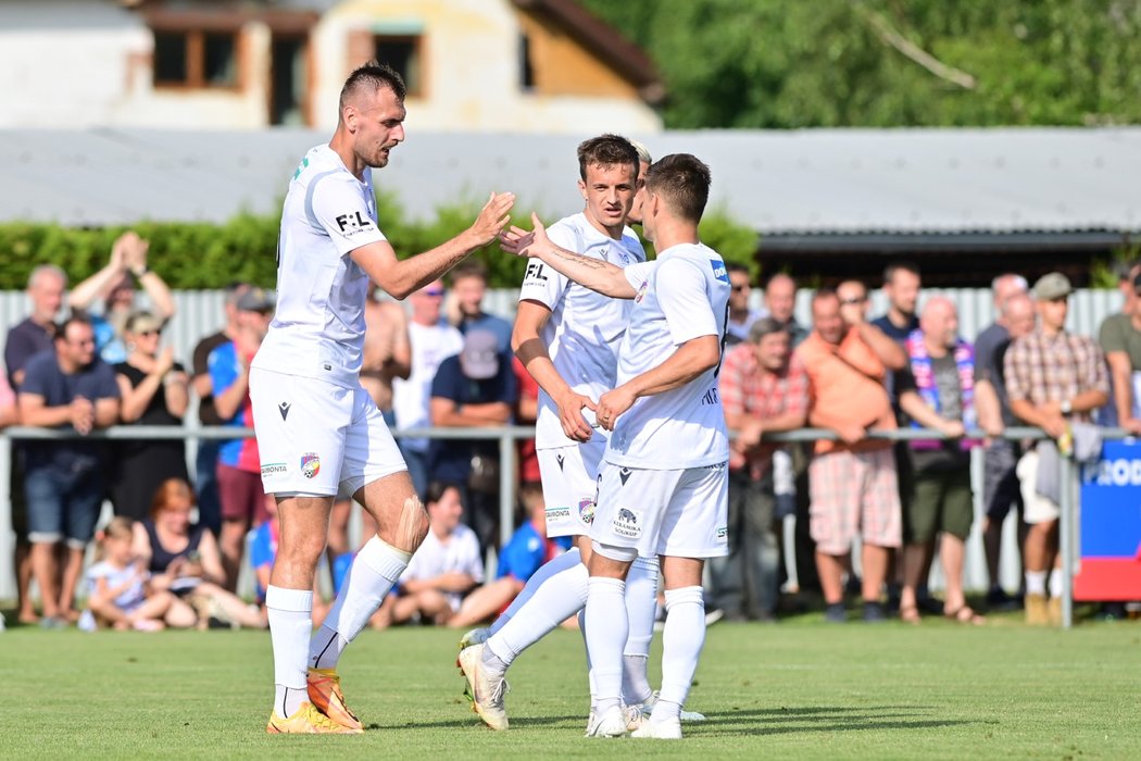 Fotbalisté Plzně poměřili v přípravě síly se Slovanem Bratislava