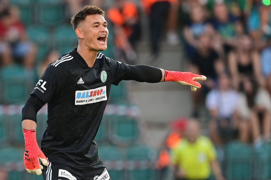 Gólman Bohemians Patrik Le Giang během zápasu proti Spartě