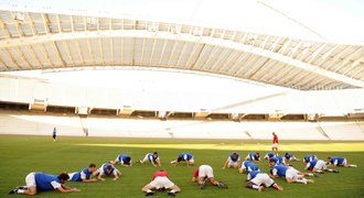 Budou se na stadionech v JAR zabíjet krávy?